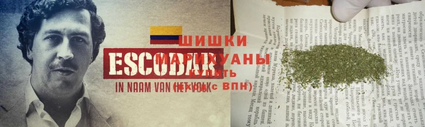 ПСИЛОЦИБИНОВЫЕ ГРИБЫ Верхний Тагил