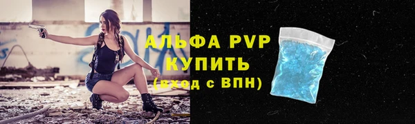 ПСИЛОЦИБИНОВЫЕ ГРИБЫ Верхний Тагил