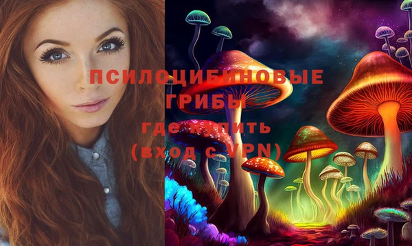 ПСИЛОЦИБИНОВЫЕ ГРИБЫ Верхний Тагил